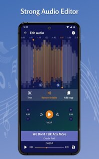 Tohsoft Music Player 12.9. Скриншот 15