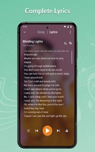 Tohsoft Music Player 12.9. Скриншот 21