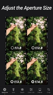 ReLens 4.1.3. Скриншот 5