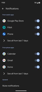 Google Pixel Watch 4.3.0.867617185. Скриншот 5