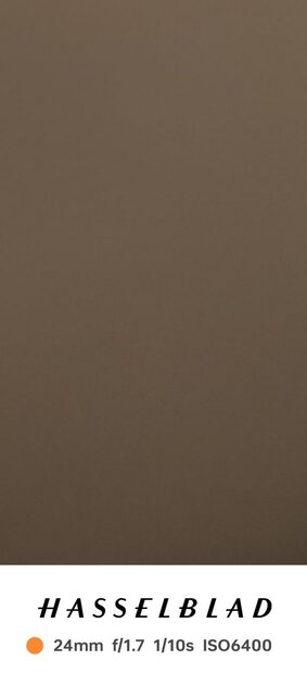 У OPPO Find N3 странная камера, но снимает как монстр. Особенно зум 3×, теперь без него не фоткаю