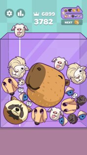 Watermelon Puzzle: Capy Merge 3.2. Скриншот 2