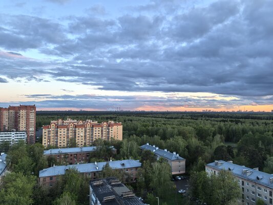 Обзор Huawei Pura 70 Pro: новая глава в истории фотофлагманов — Камера. 13