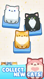 Box Cat Jam 6.1.9. Скриншот 13