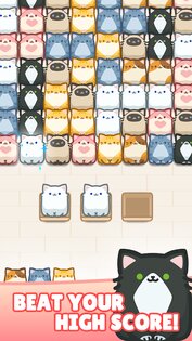 Box Cat Jam 6.1.9. Скриншот 14