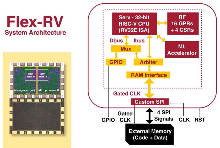 Представлен Flex-RV: первый гибкий чип на архитектуре RISC-V