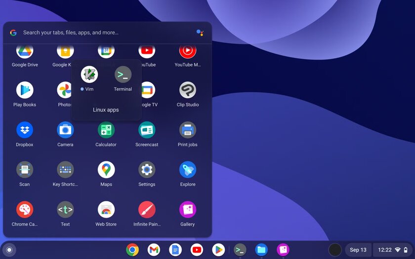 Дешёвые, маленькие и быстрые ПК — это «хромбоксы» на Chrome OS от Google. Плюсы и минусы