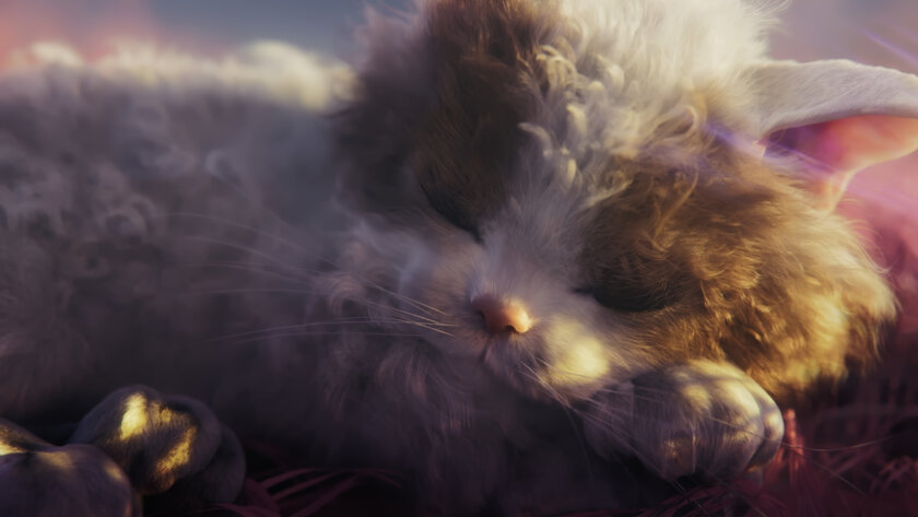 Реалистичные кошки — посмотрите. Создателям Catly пришлось доказывать её настоящность, им не верили
