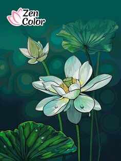 Zen Color 2.1.1. Скриншот 17