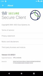 Cisco Secure Client 5.1.15.295. Скриншот 4