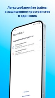 SecureSpace 1.1. Скриншот 5