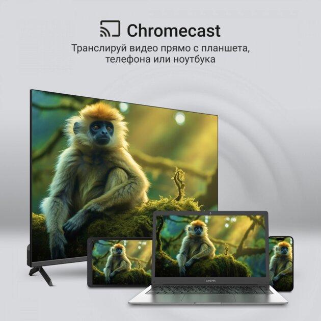 Большой, с приятной картинкой и адекватной ценой: обзор QLED Digma 65" DM-LED65UQB31