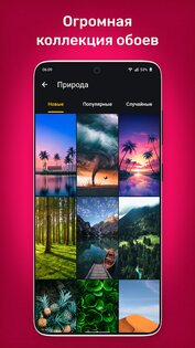 Wallspic 1.7.2. Скриншот 5