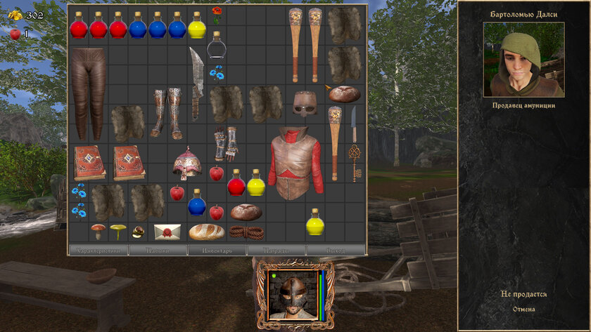 Российская игра в духе олдовых RPG. Обзор «Струны судьбы XI: Волшебный сон»