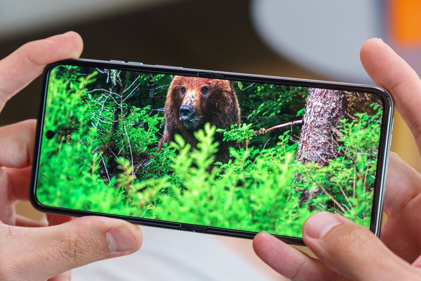 Шикарный дисплей, неплохие камеры и минимум апгрейдов: обзор Motorola Razr 60 — Дисплеи. 8