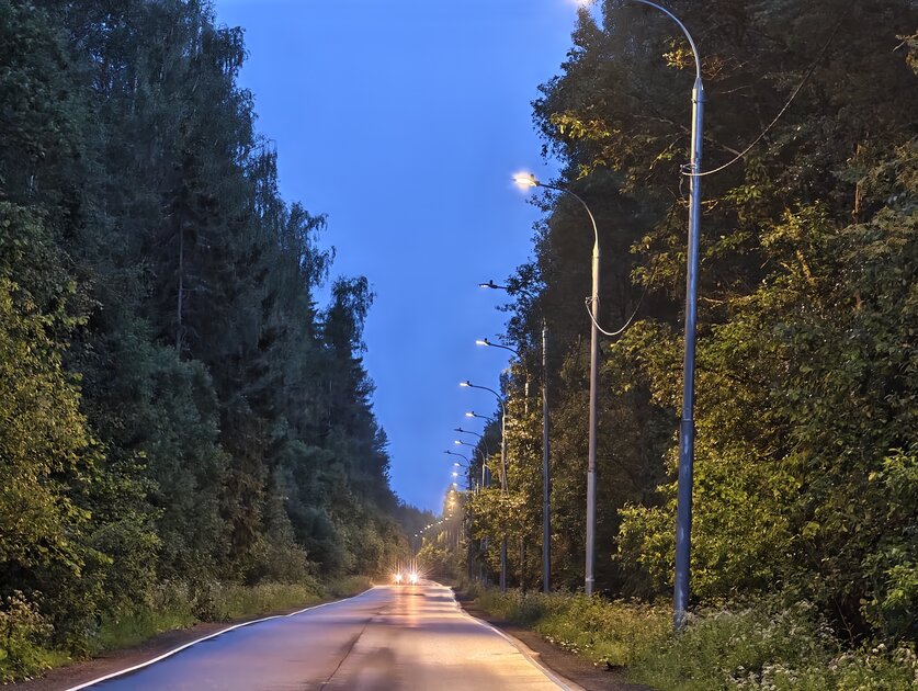 Зачем зеркалка, если в карман помещается этот монстр? Обзор камерофона vivo X200 Ultra
