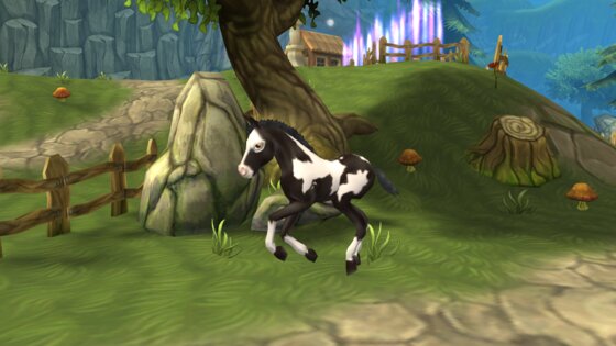 Horse Paradise 2.15. Скриншот 3