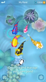 Zen Koi 2 2.8.4. Скриншот 5