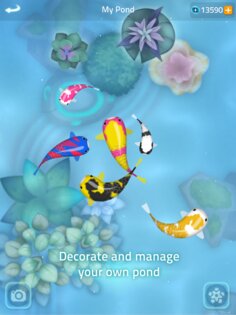 Zen Koi 2 2.8.4. Скриншот 20
