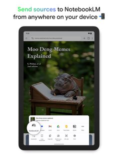 NotebookLM 1.51.1.956372075. Скриншот 12