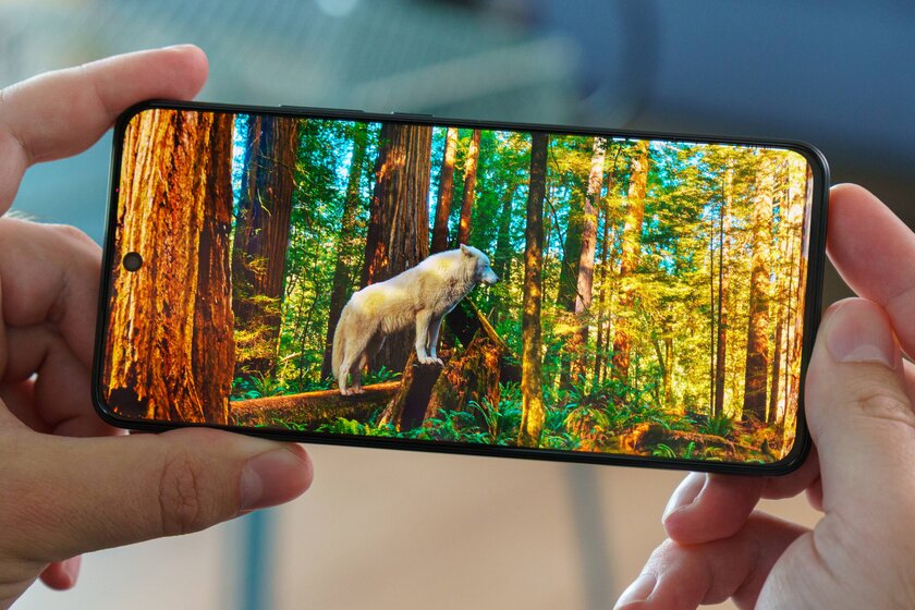 Обзор OnePlus Nord CE5 — похоже, производитель нашёл верный путь — Дисплей. 1