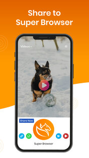 Super Browser 5.2.6. Скриншот 2