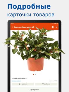 МЕГАСТРОЙ: для стройки/ремонта 2.0.3. Скриншот 10