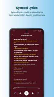 SimpMusic 1.7.0. Скриншот 3