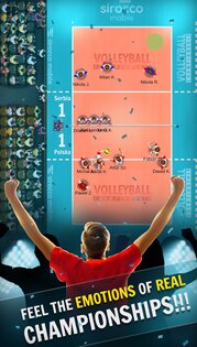 Volleyball Championship 2.02.86. Скриншот 11
