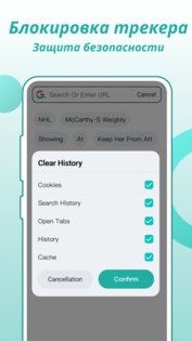 Fly Browser 2.1.0. Скриншот 6