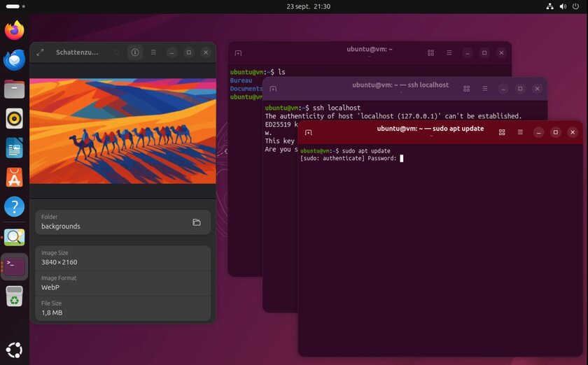 Ryzen 9 9950X и 9950X3D сравнили в Windows 11 и Ubuntu: результаты тестов впечатляют