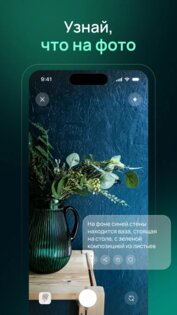 Vivi нейросеть 2.3.5. Скриншот 2