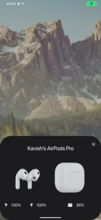 LibrePods 1.0.0-rc1. Скриншот 11
