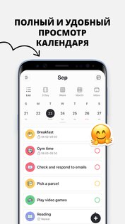Plan Joy 7.3.0. Скриншот 5