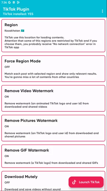 Моды на TikTok: что умеют и почему не стоит пользоваться