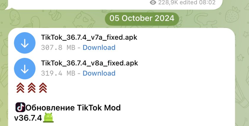Моды на TikTok: что умеют и почему не стоит пользоваться