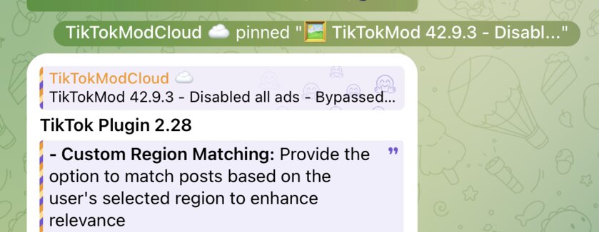 Моды на TikTok: что умеют и почему не стоит пользоваться