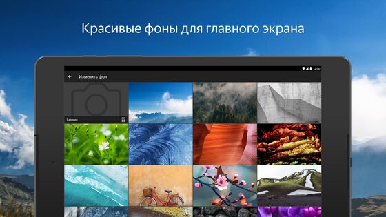 Яндекс Браузер 26.8.1.121. Скриншот 12