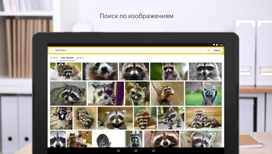 Яндекс Старт 26.60. Скриншот 21