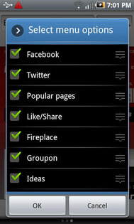 Skyfire 5.0.1. Скриншот 3