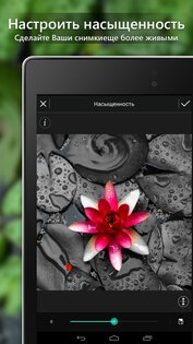 PhotoDirector 20.12.1. Скриншот 7