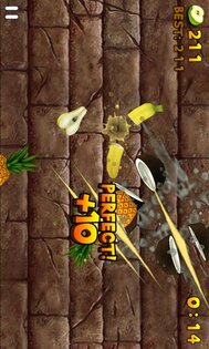 Fruit Slice 1.4.5. Скриншот 11