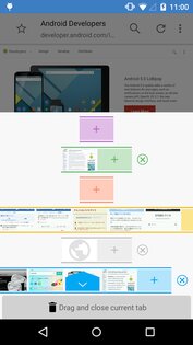 Sleipnir Browser 3.8.5. Скриншот 5