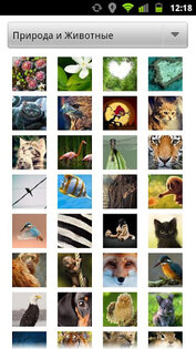 FriendsAvatars (FA Caller ID`s Photos) 1.0.05. Скриншот 3