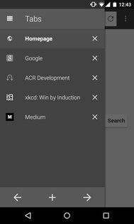 Lightning Web Browser 5.1.0. Скриншот 14