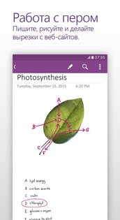 OneNote 16.0.20026.20090. Скриншот 2