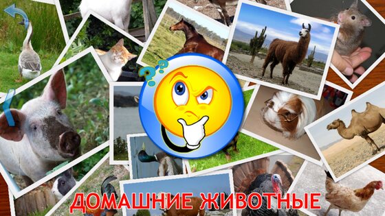 Животные для Малышей 9.6.4. Скриншот 13