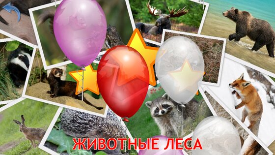 Животные для Малышей 9.6.4. Скриншот 24