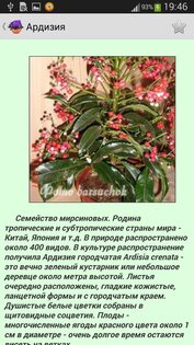 Комнатные растения 3.4.30. Скриншот 3