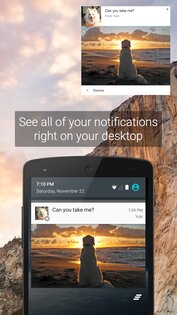 Pushbullet 18.5.1. Скриншот 3